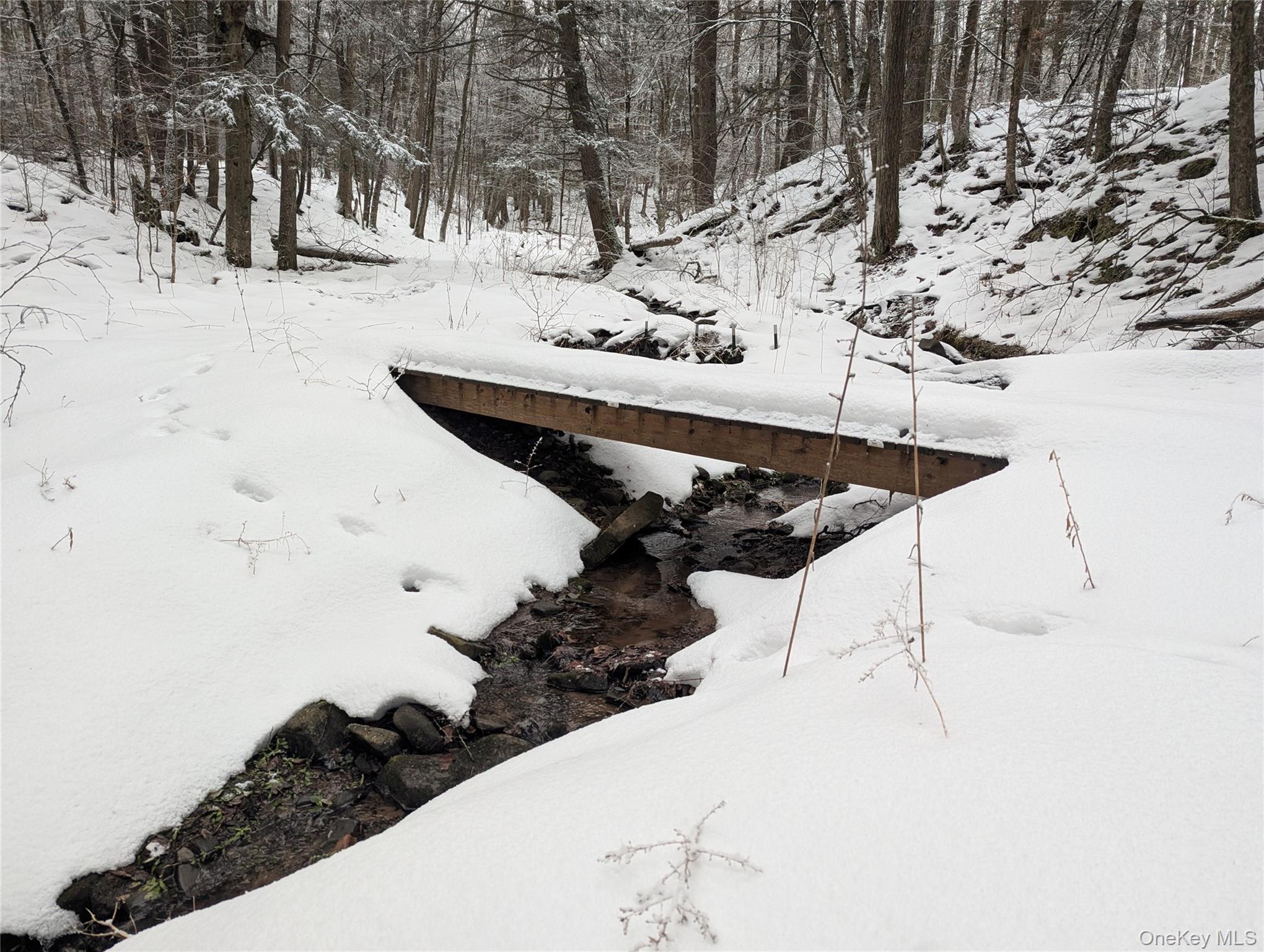 Heinle Road East Swan Lake, NY 12783 - Photo 11 of 21 Stream with walking bridge to the 10 x 10 shed