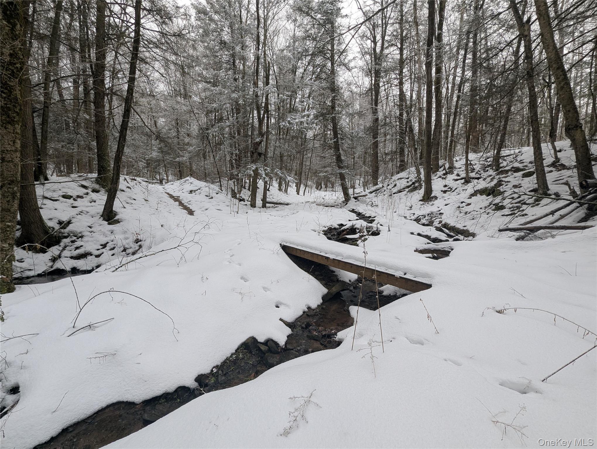 Heinle Road East Swan Lake, NY 12783 - Photo 14 of 21 Stream with walking bridge
