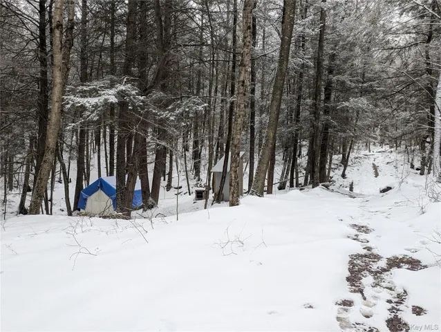 a view of backyard with tub and trees