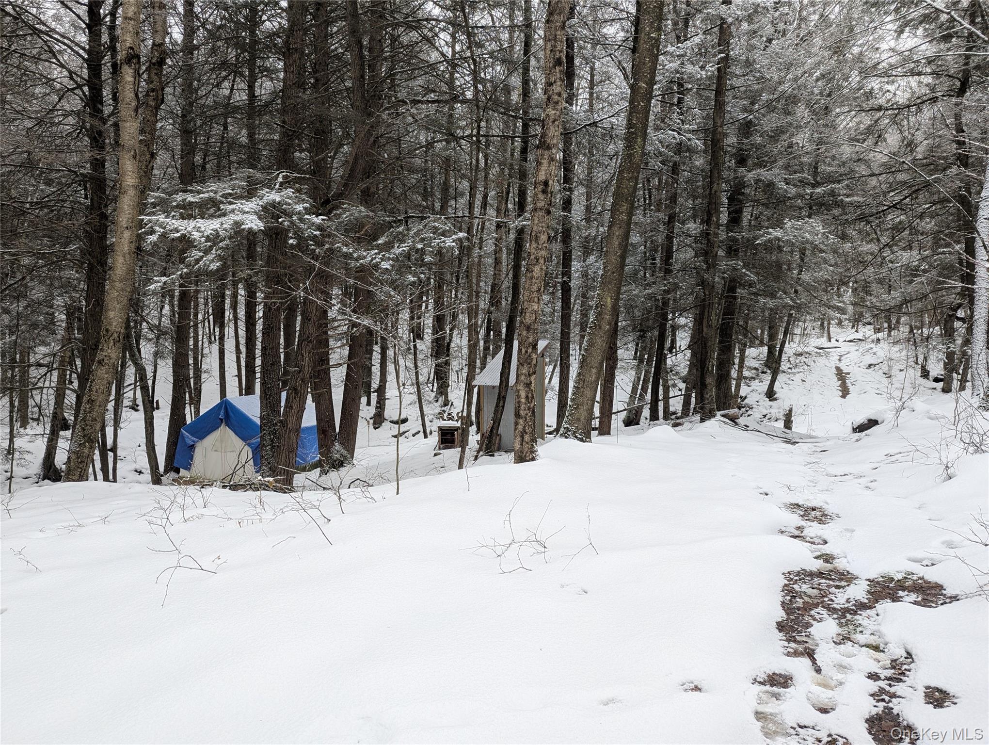 Heinle Road East Swan Lake, NY 12783 - Photo 15 of 21 Not far into the property on the roughed in road is the Tentrr site and bridge leading to the 10 x 10 storage shed