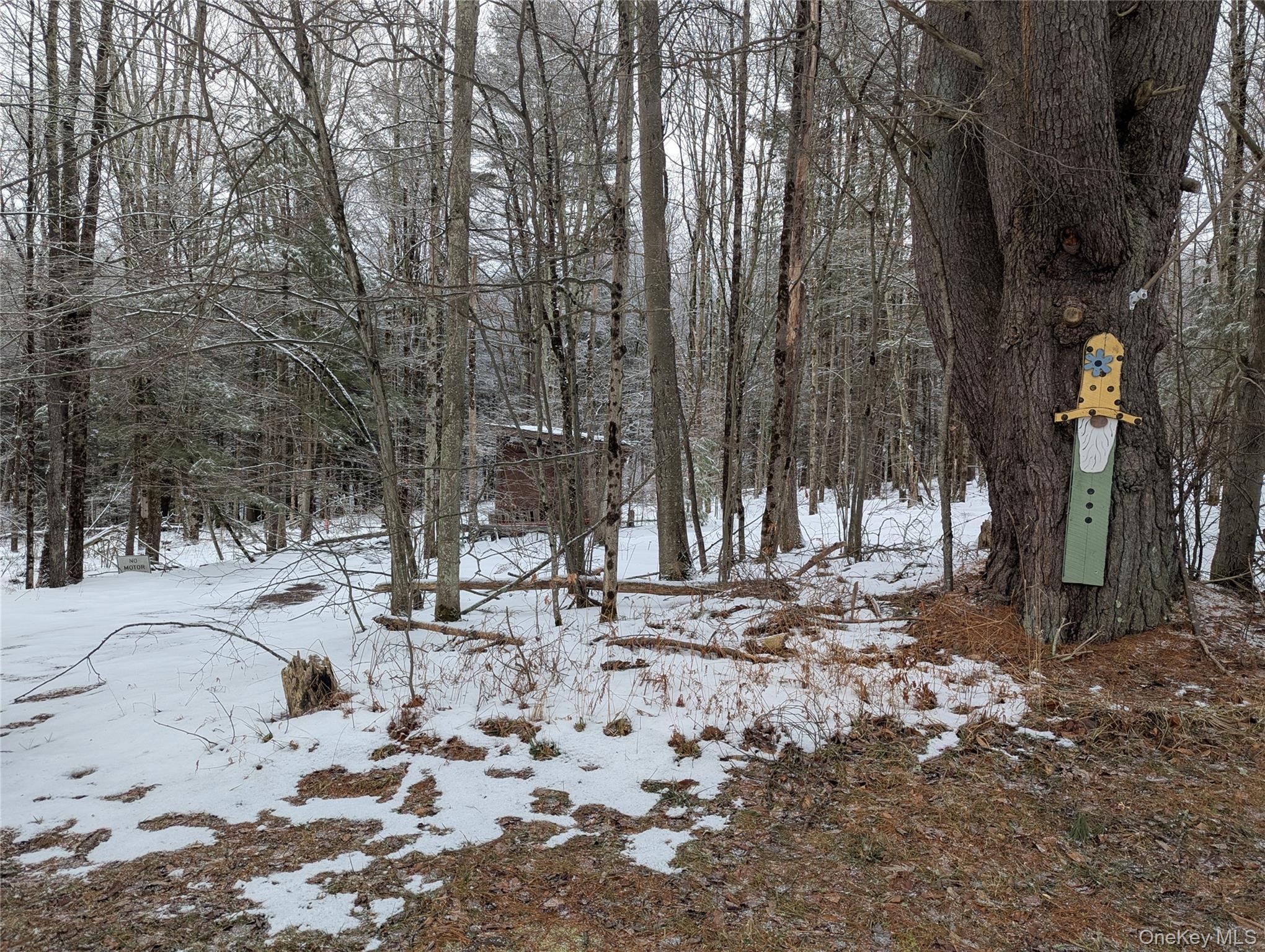 Heinle Road East Swan Lake, NY 12783 - Photo 16 of 21 Entrance to the land