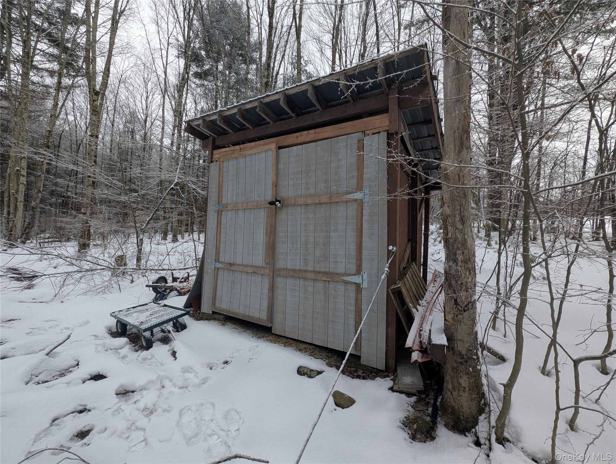 Heinle Road East Swan Lake, NY 12783 - Photo 17 of 21 1st Storage Shed at the front of the property
