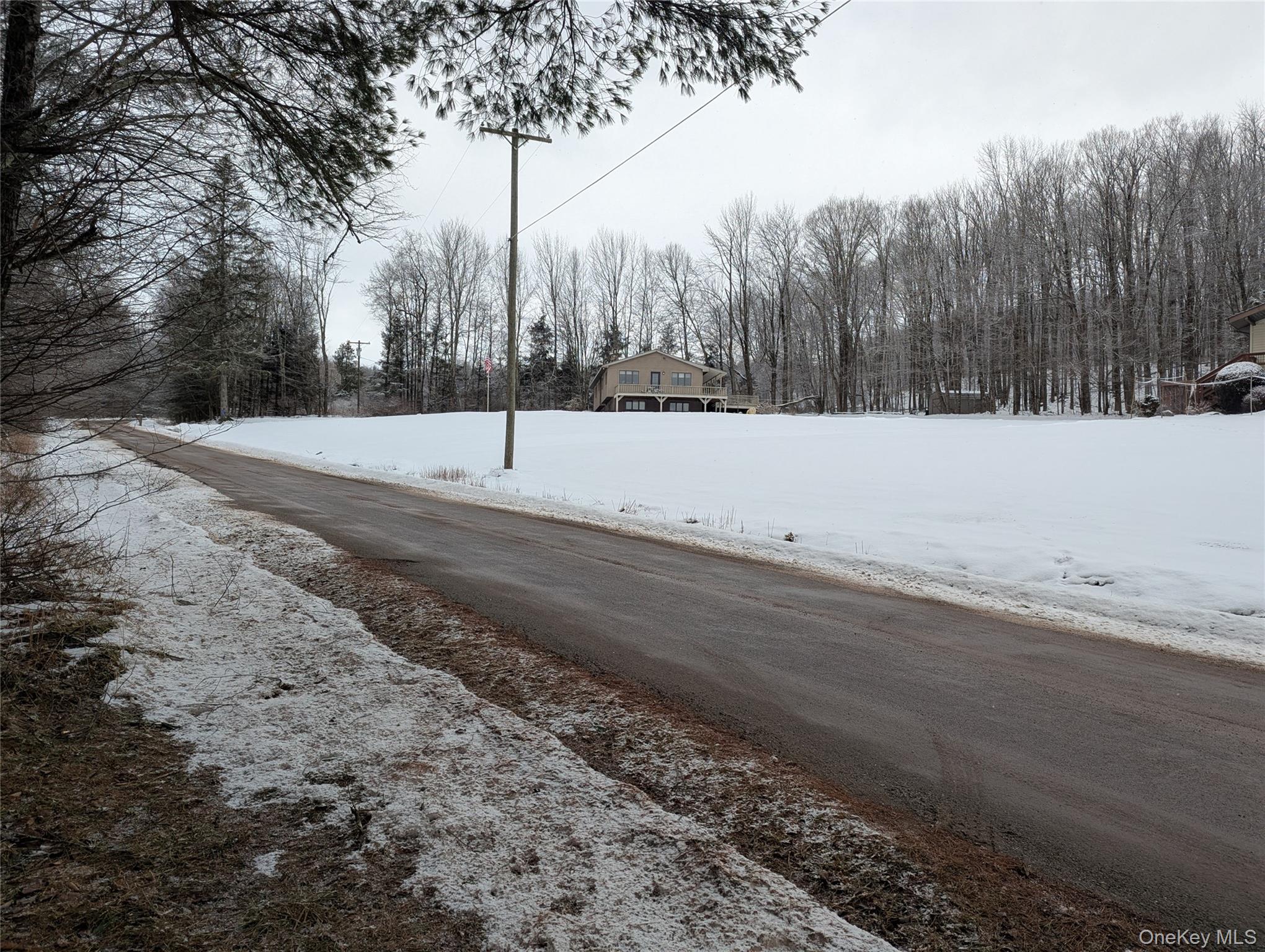 Heinle Road East Swan Lake, NY 12783 - Photo 18 of 21 Street View