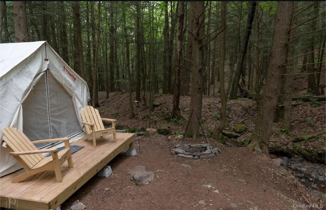 Heinle Road East Swan Lake, NY 12783 - Photo 3 of 21 Tentrr Site