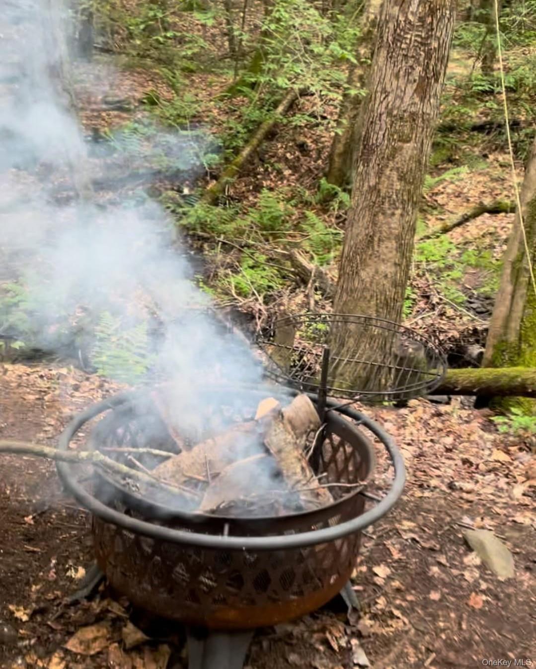 Heinle Road East Swan Lake, NY 12783 - Photo 4 of 21 Firepit