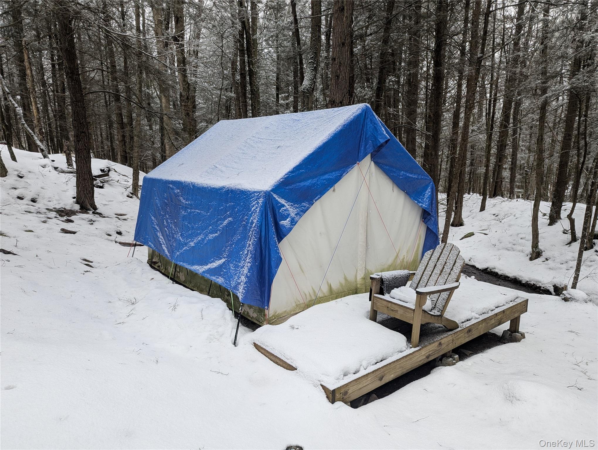 Heinle Road East Swan Lake, NY 12783 - Photo 6 of 21 Tentrr site