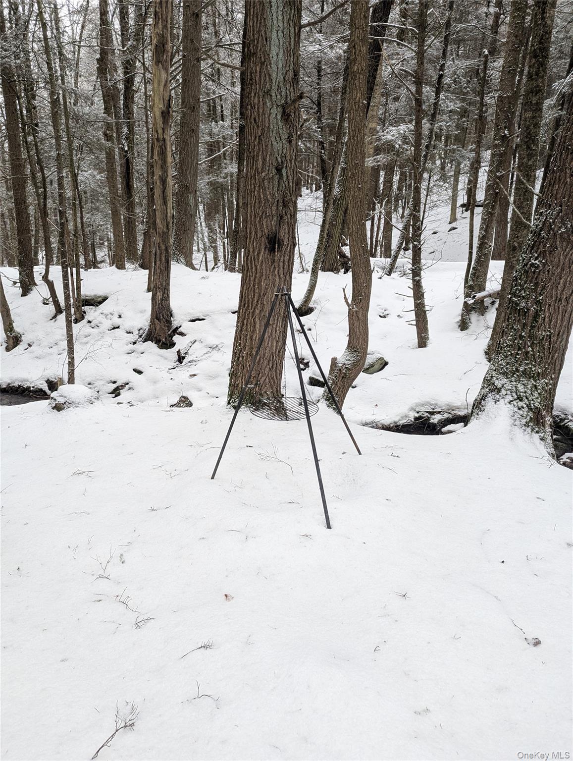Heinle Road East Swan Lake, NY 12783 - Photo 7 of 21 Fire area