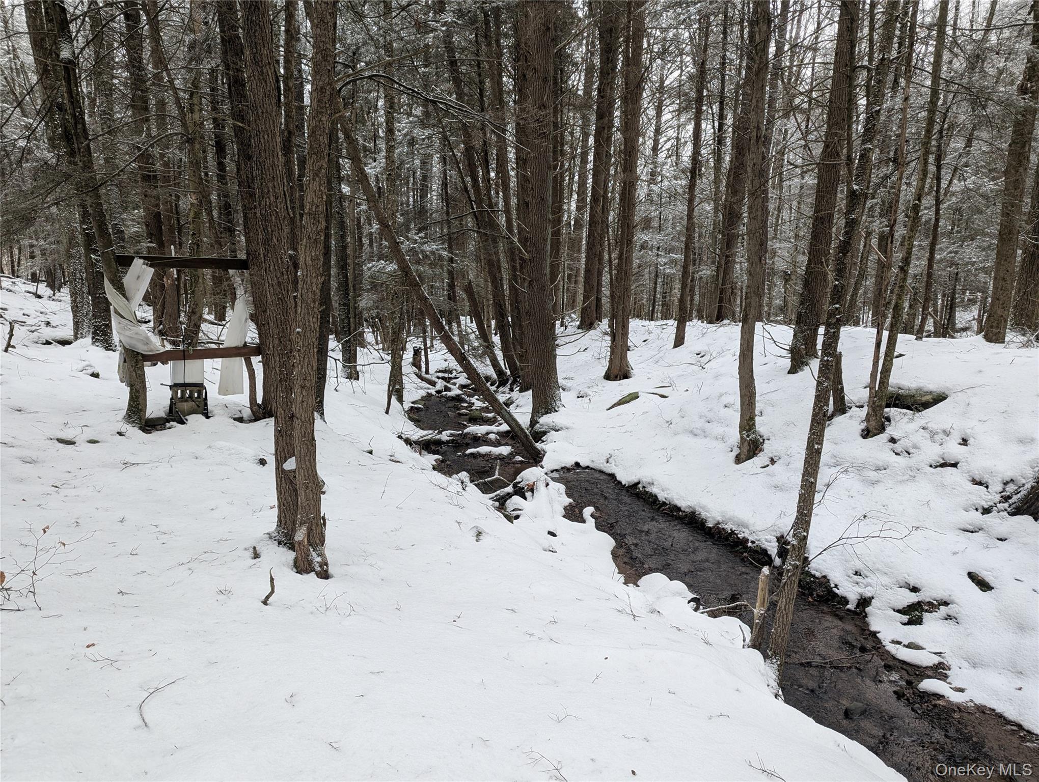 Heinle Road East Swan Lake, NY 12783 - Photo 8 of 21 Stream