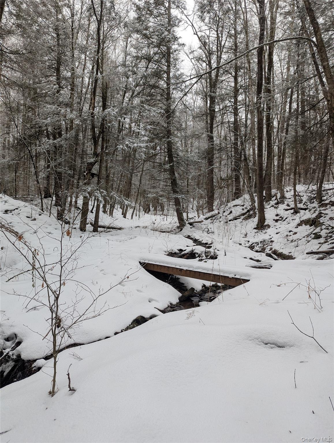 Heinle Road East Swan Lake, NY 12783 - Photo 9 of 21 Bridge over the stream