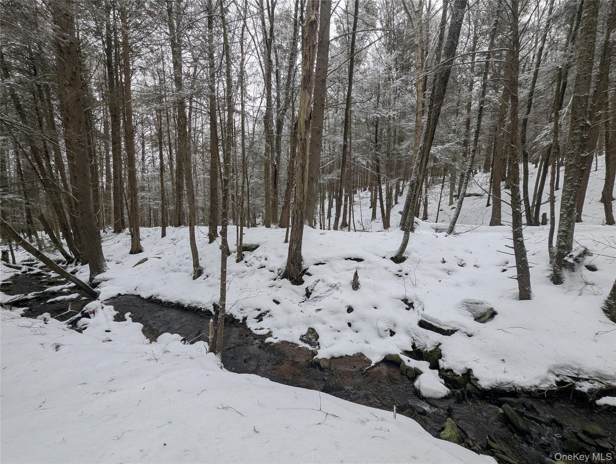 Heinle Road East Swan Lake, NY 12783 - Photo 10 of 21 Stream