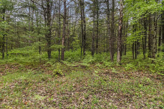 $190,000 | V/l West Pomeroy Springs Road, Manistee, MI 49660