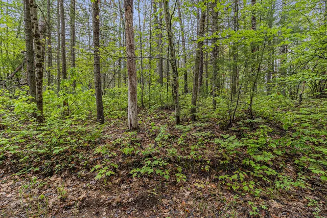 $190,000 | V/l West Pomeroy Springs Road, Manistee, MI 49660