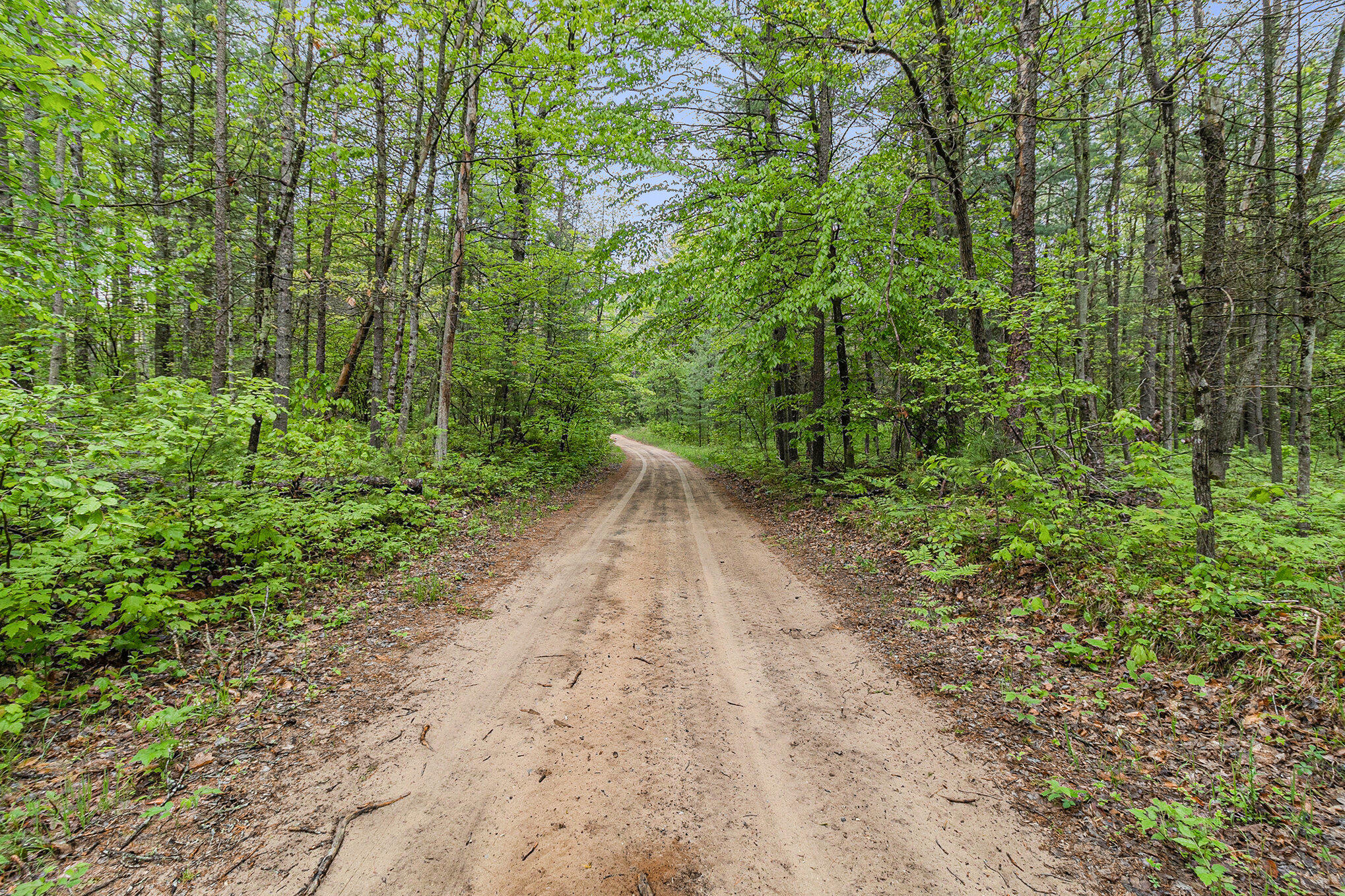V/l West Pomeroy Springs Road Manistee, MI 49660 - Photo 14 of 23 011_5r6a5051_153