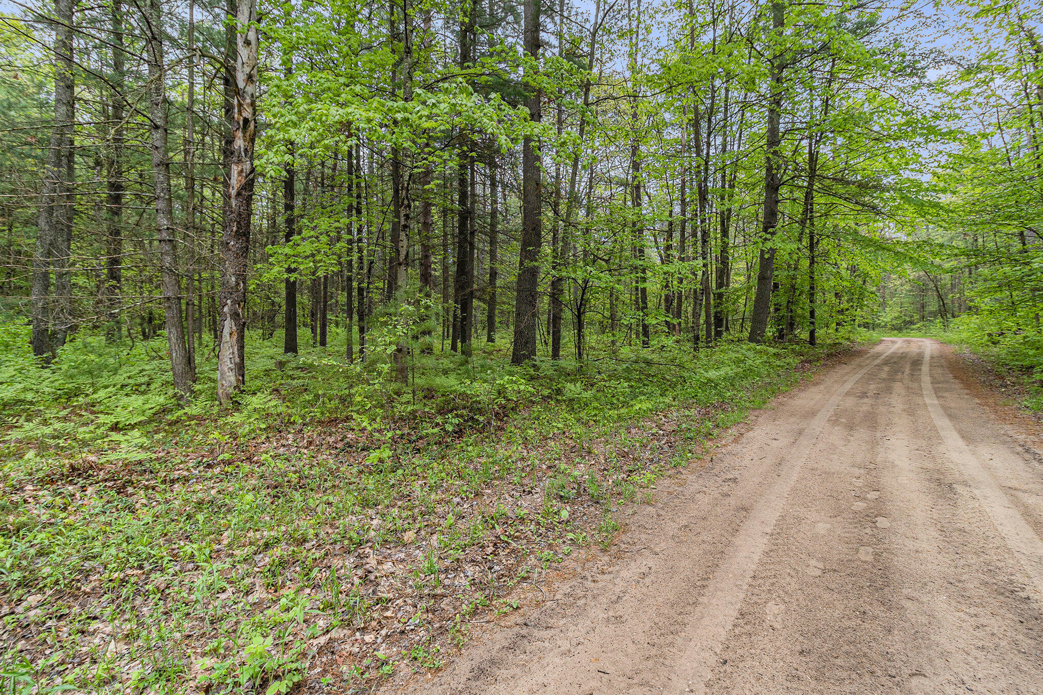 V/l West Pomeroy Springs Road Manistee, MI 49660 - Photo 15 of 23 012_5r6a5052_585