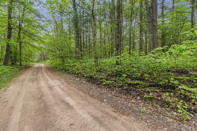 $190,000 | V/l West Pomeroy Springs Road, Manistee, MI 49660