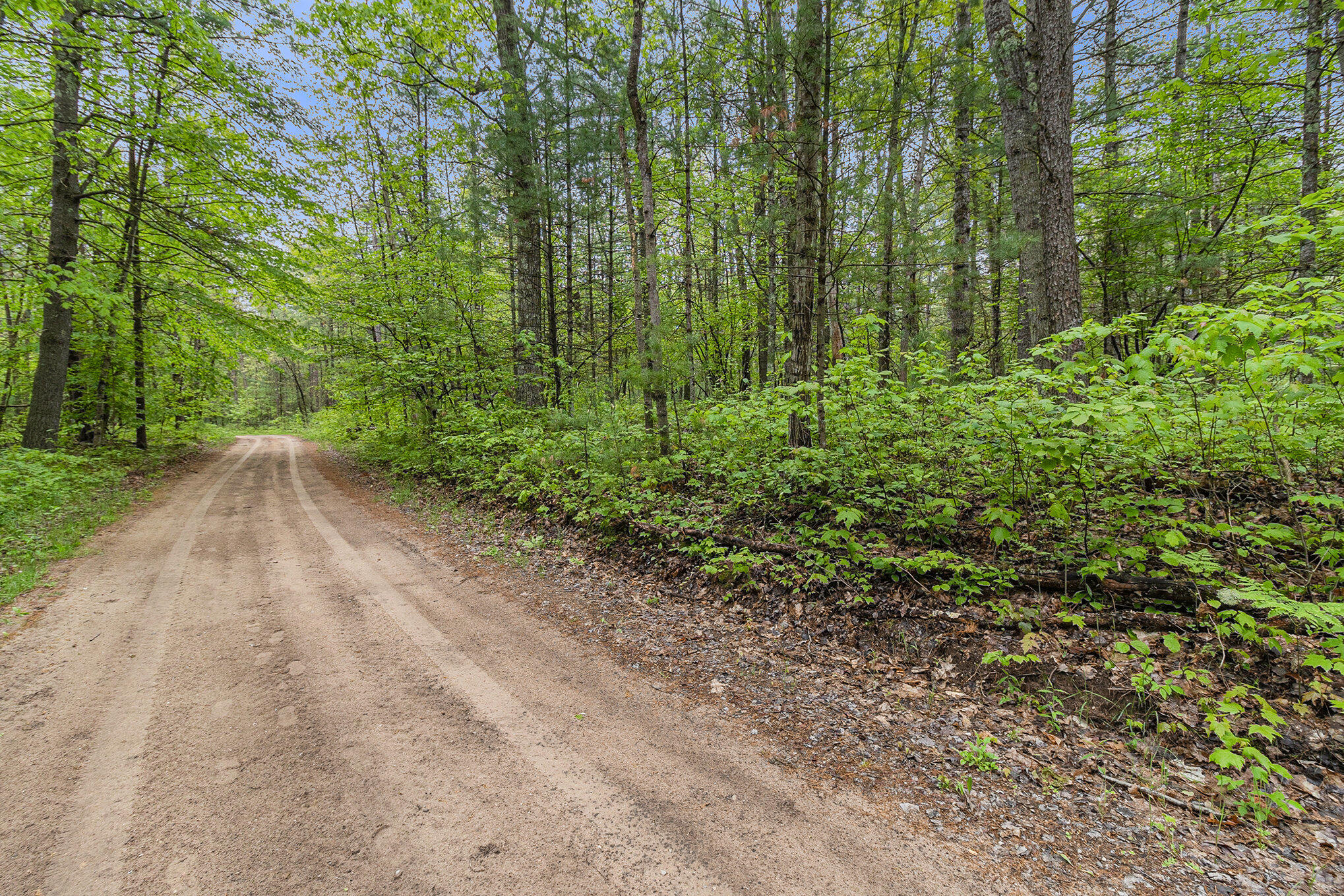 V/l West Pomeroy Springs Road Manistee, MI 49660 - Photo 16 of 23 013_5r6a5053_107