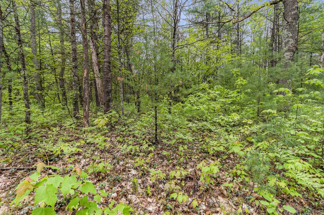 $190,000 | V/l West Pomeroy Springs Road, Manistee, MI 49660