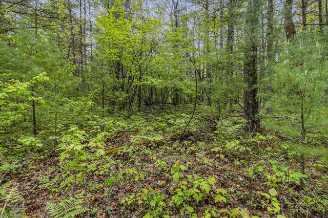 $190,000 | V/l West Pomeroy Springs Road, Manistee, MI 49660