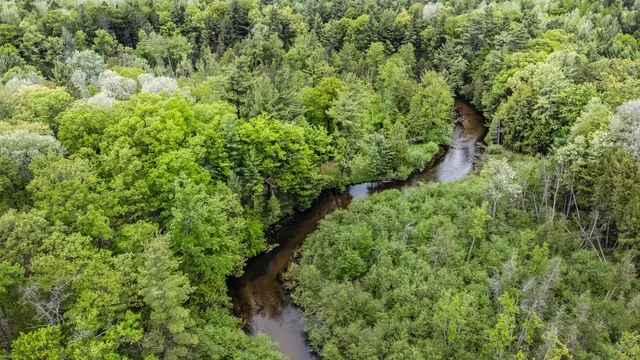 $190,000 | V/l West Pomeroy Springs Road, Manistee, MI 49660