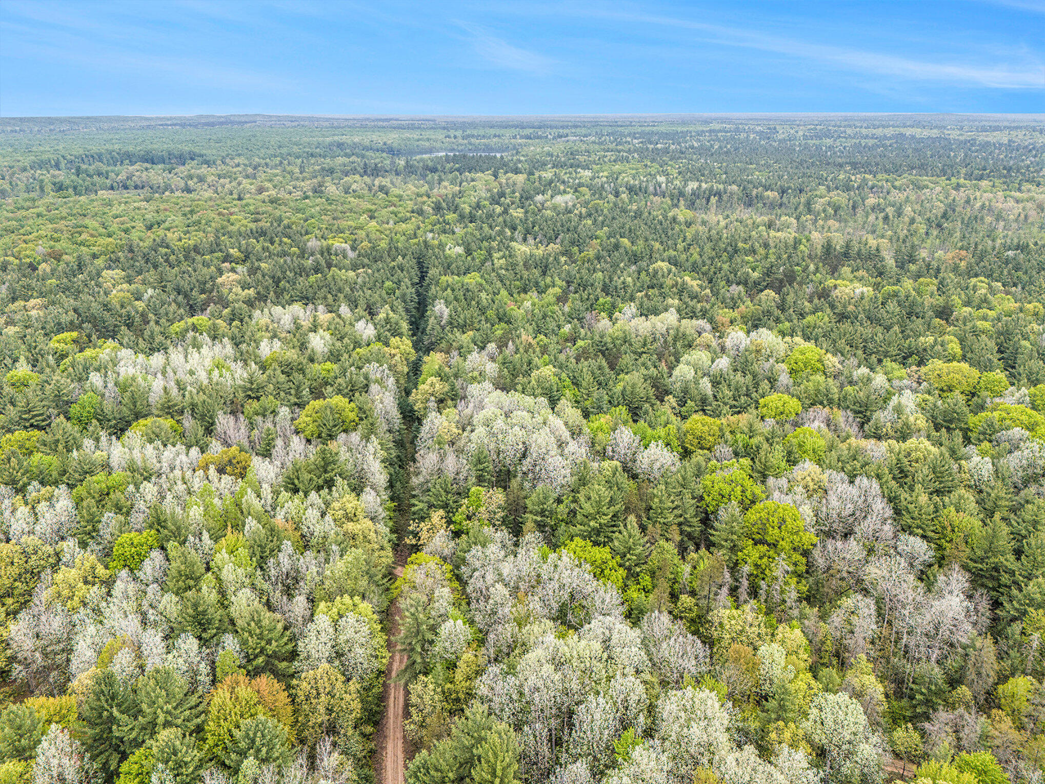 V/l West Pomeroy Springs Road Manistee, MI 49660 - Photo 21 of 23 019_dji_20250529114344_0783_d_547