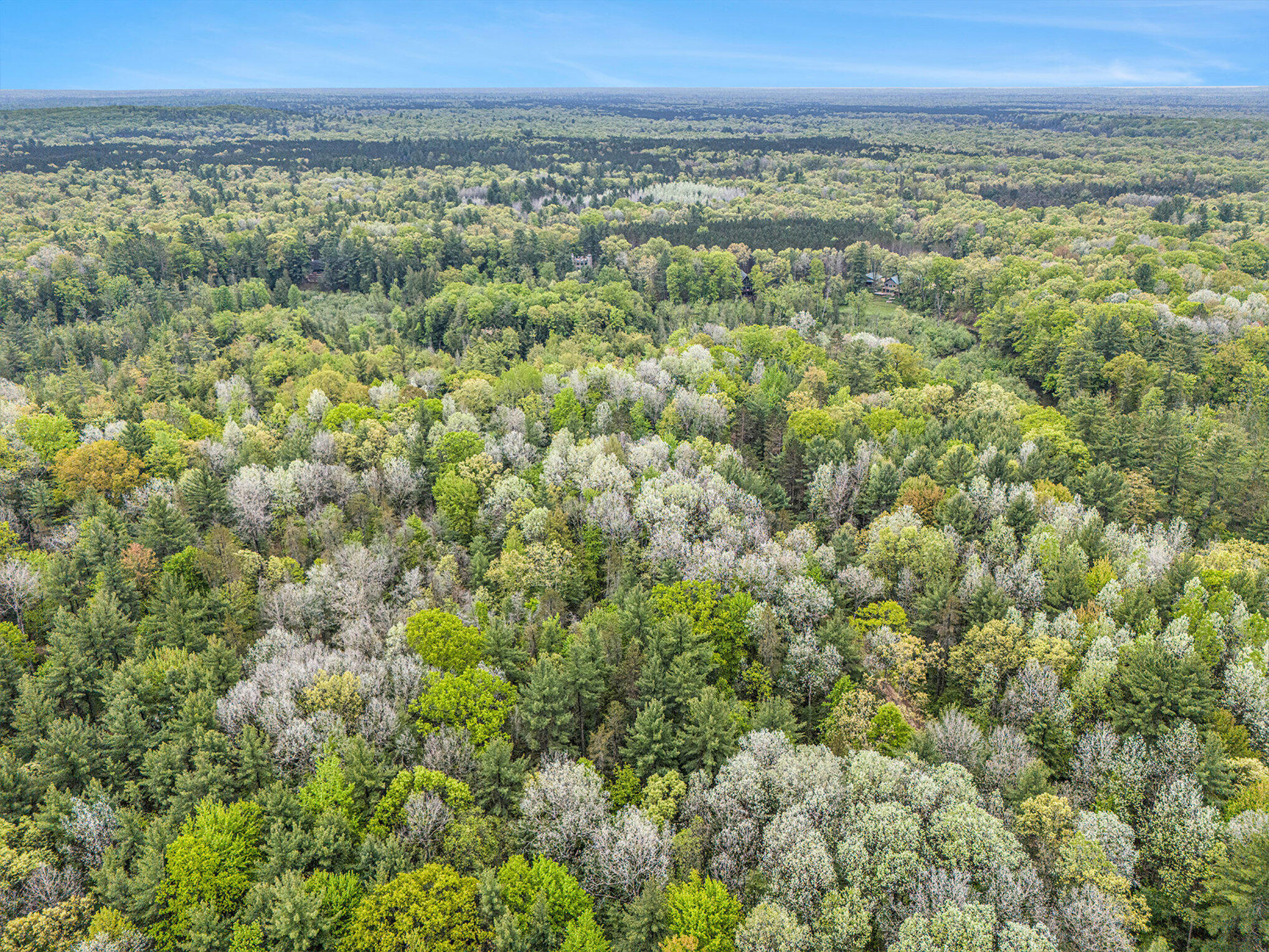 V/l West Pomeroy Springs Road Manistee, MI 49660 - Photo 23 of 23 022_dji_20250529114558_0786_d_635