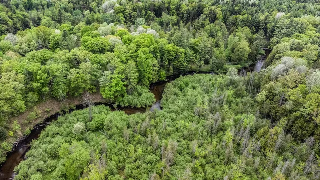 $190,000 | V/l West Pomeroy Springs Road, Manistee, MI 49660