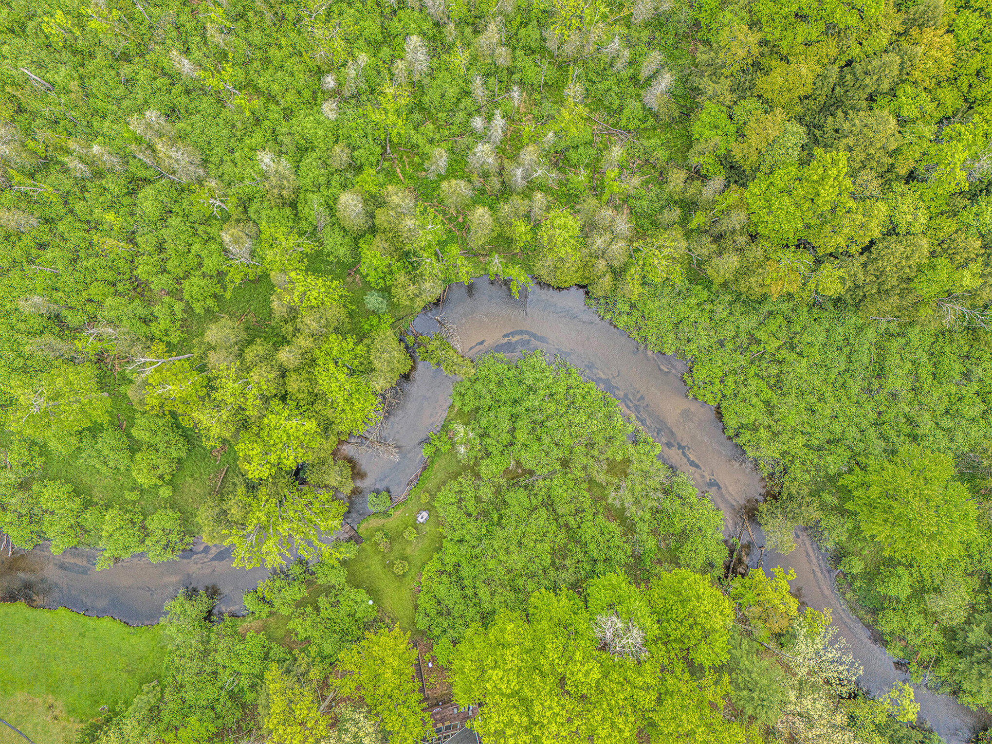 V/l West Pomeroy Springs Road Manistee, MI 49660 - Photo 4 of 23 018_dji_20250529114219_0782_d_160