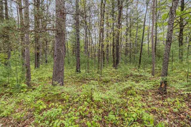 $190,000 | V/l West Pomeroy Springs Road, Manistee, MI 49660