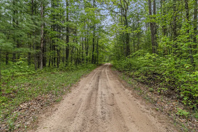 $190,000 | V/l West Pomeroy Springs Road, Manistee, MI 49660