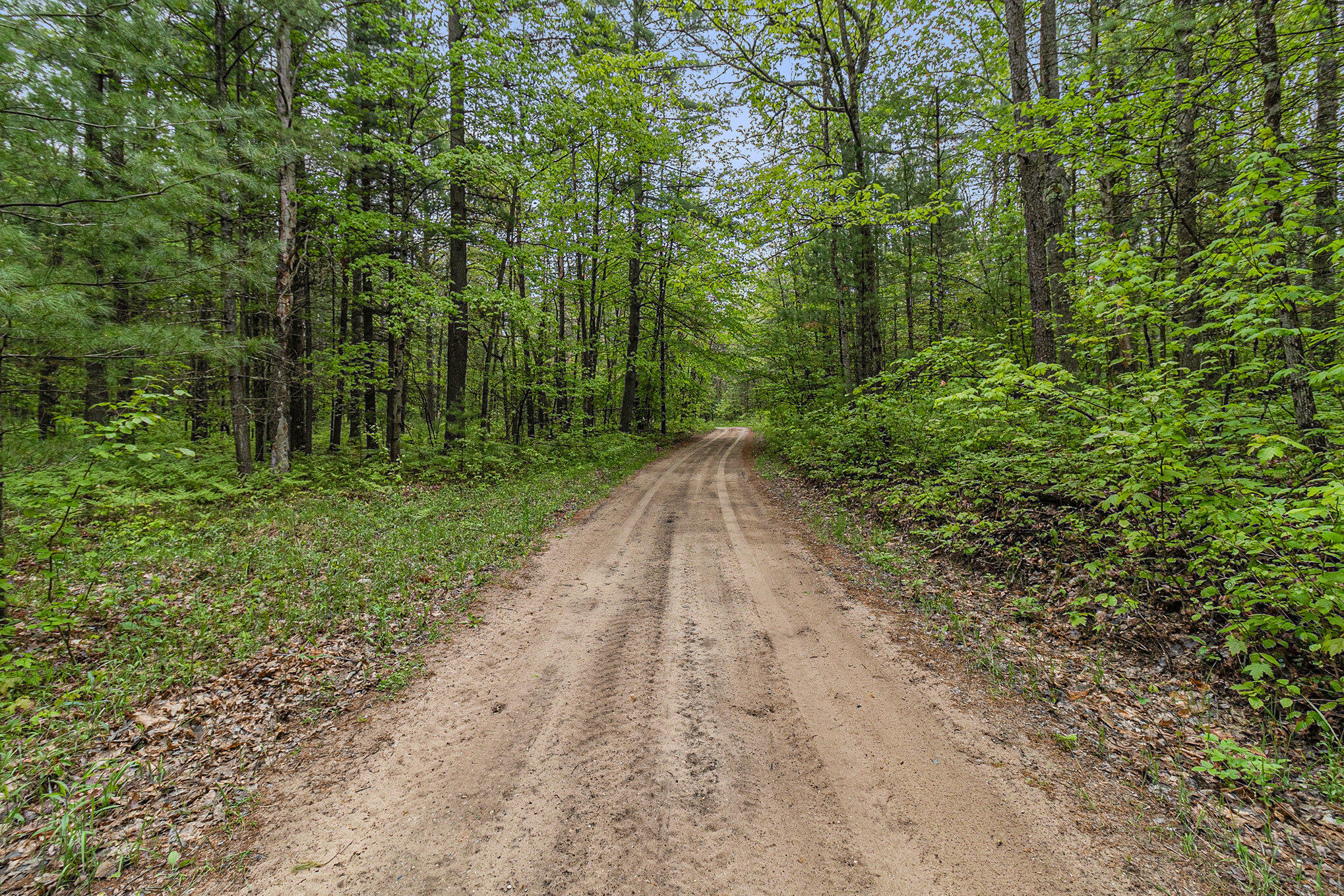 V/l West Pomeroy Springs Road Manistee, MI 49660 - Photo 10 of 23 006_5r6a5046_342