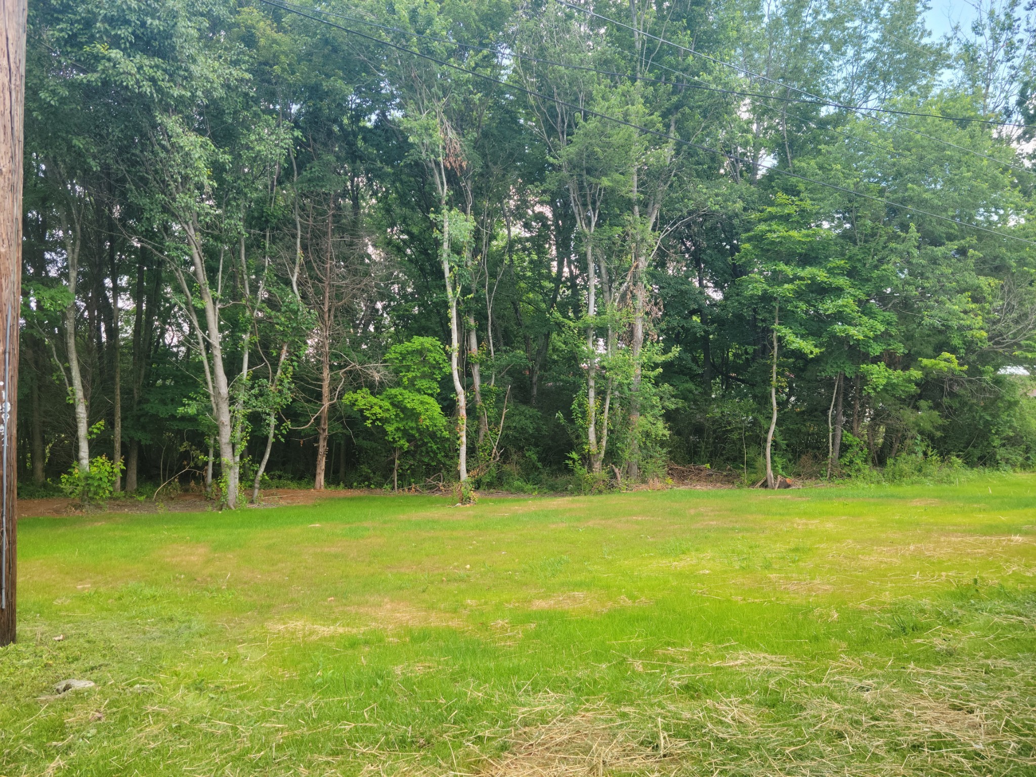 4666 Talley Road Springfield, TN 37172 - Photo 5 of 12 a view of outdoor space with a garden and trees