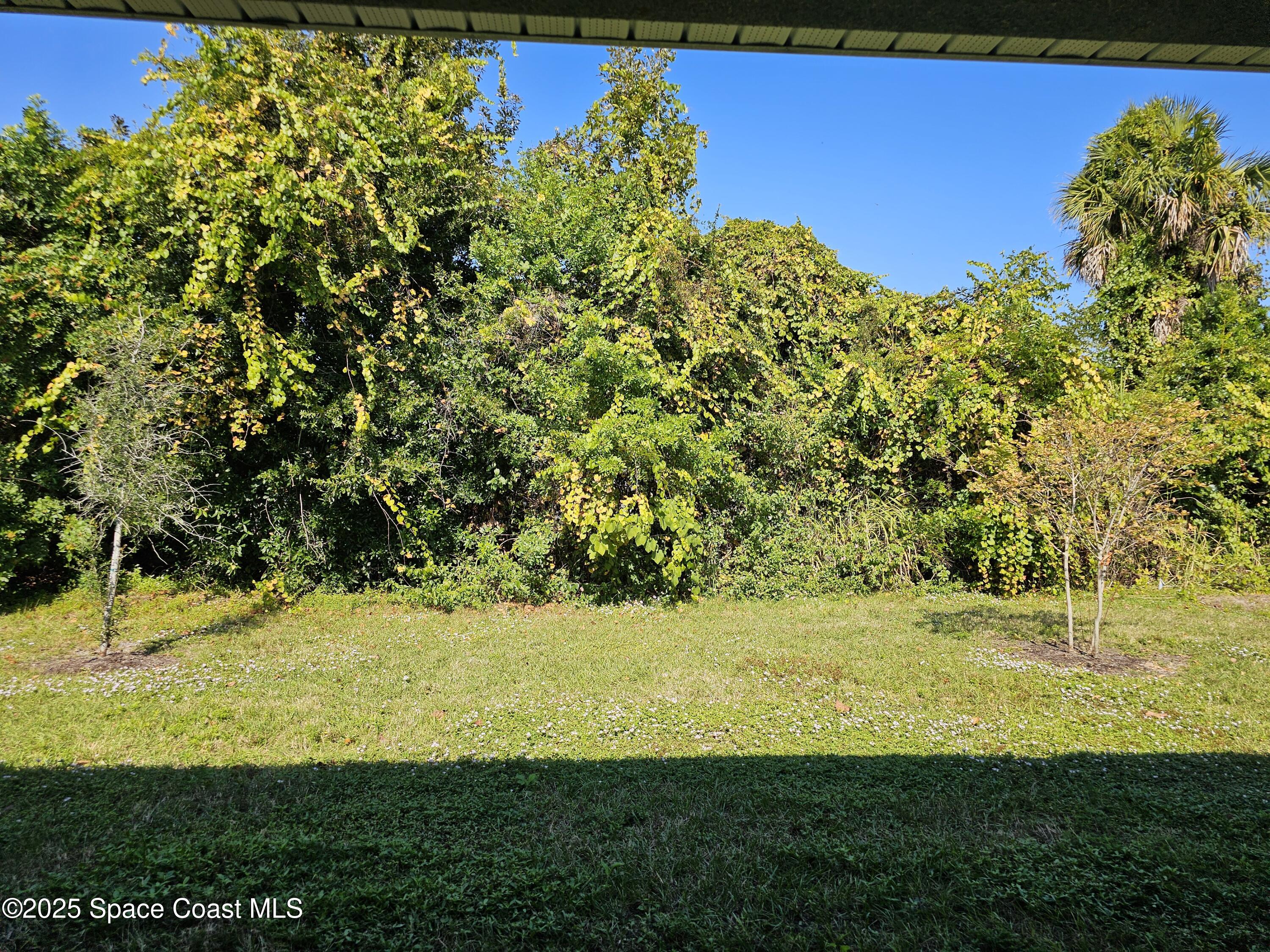 1211 Tupelo Circle Cocoa, FL 32926 - Photo 15 of 15 a view of a yard with an empty space