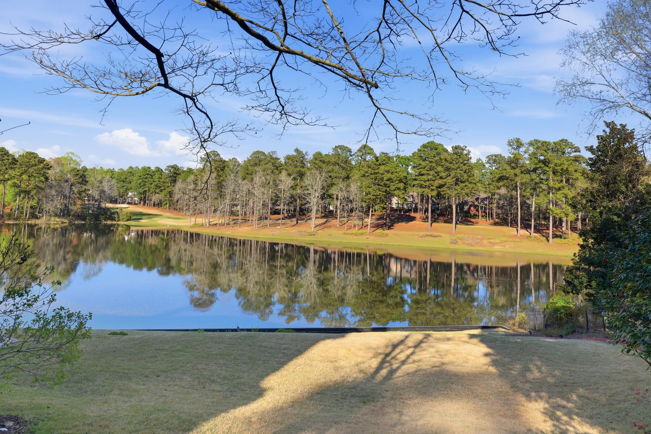 261 Magnolia Lake Road Aiken, SC 29803 - Photo 3 of 59