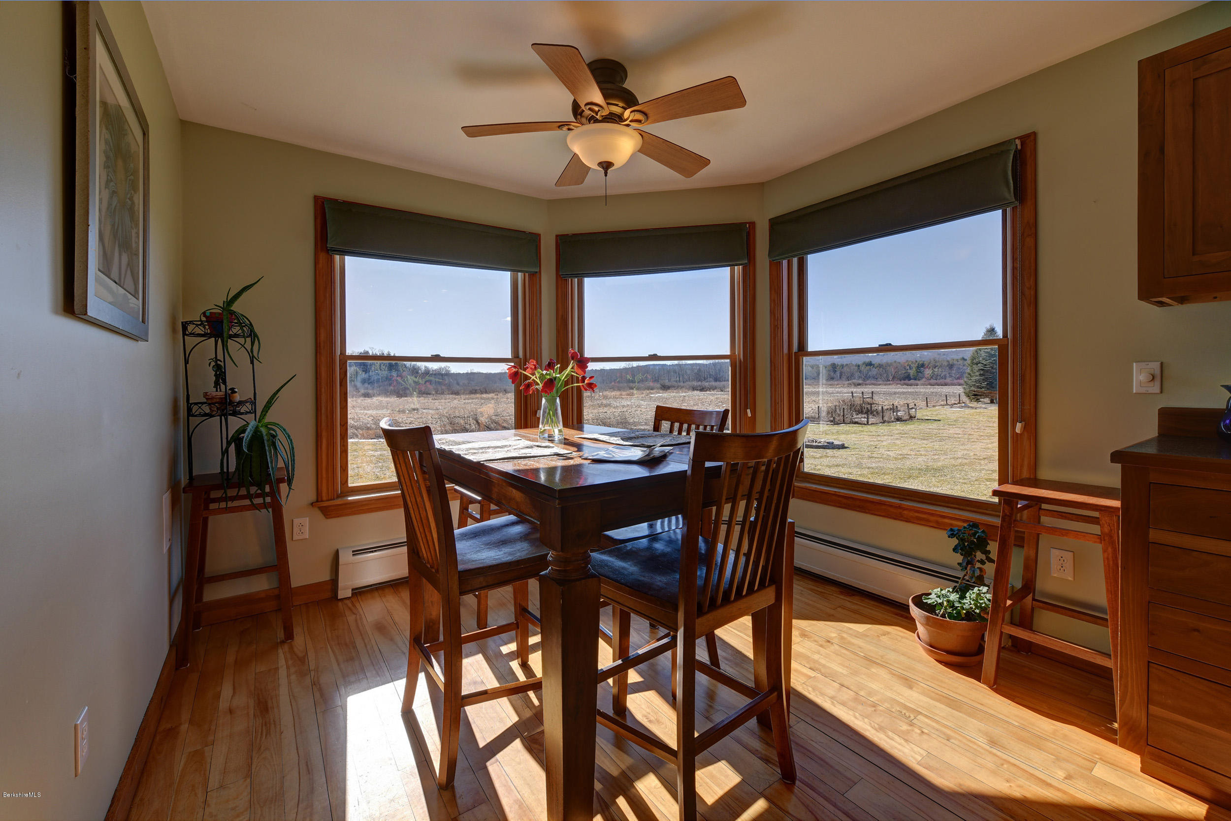 6 Roaring Brook Road Lenox, MA 01240 - Photo 14 of 42 Views-Views-Views