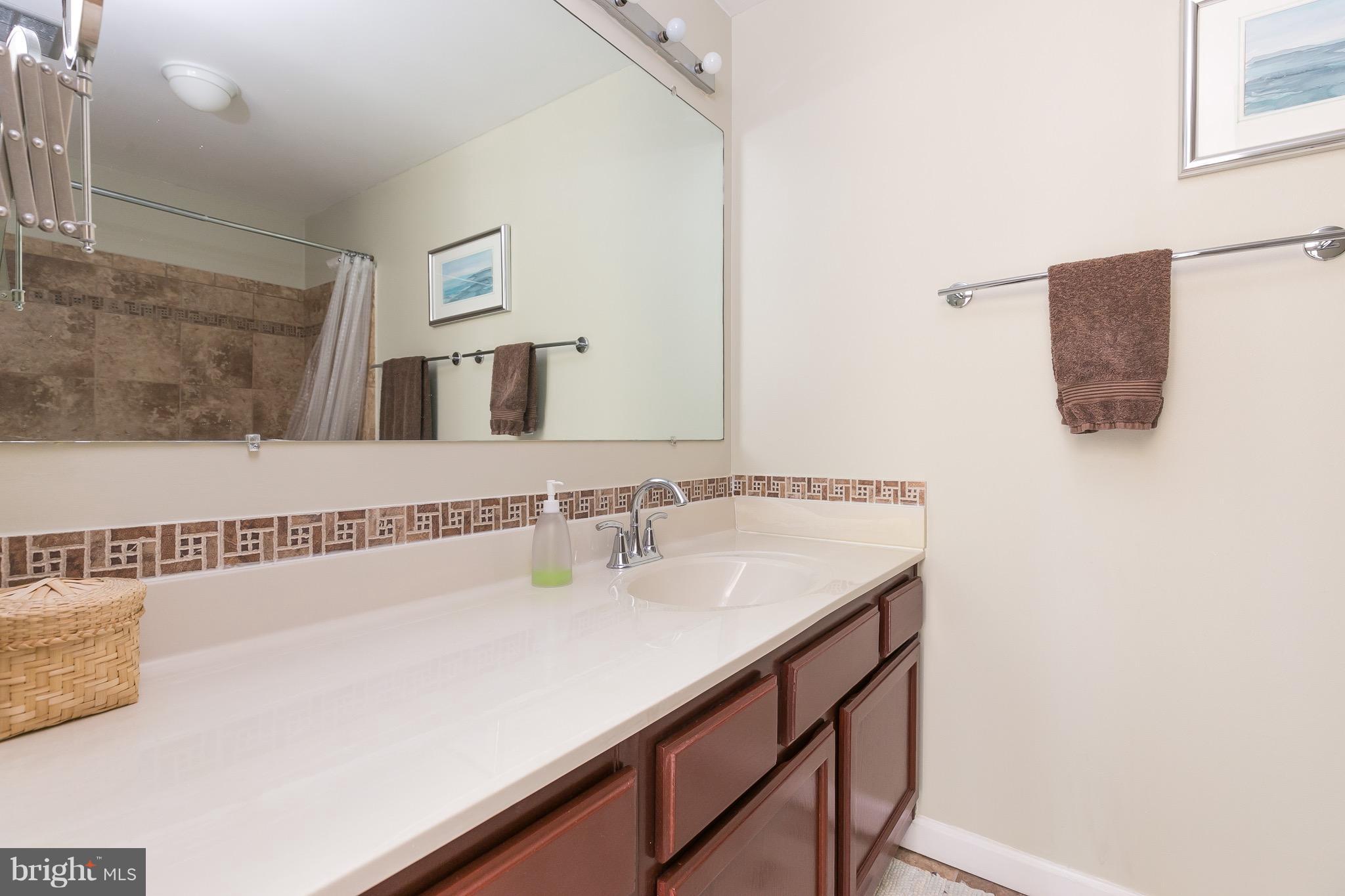 11905 Crosswind Court Reston, VA 20194 - Photo 17 of 22 Bath (Master)