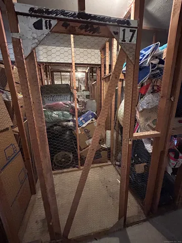 a view of a backyard with plants