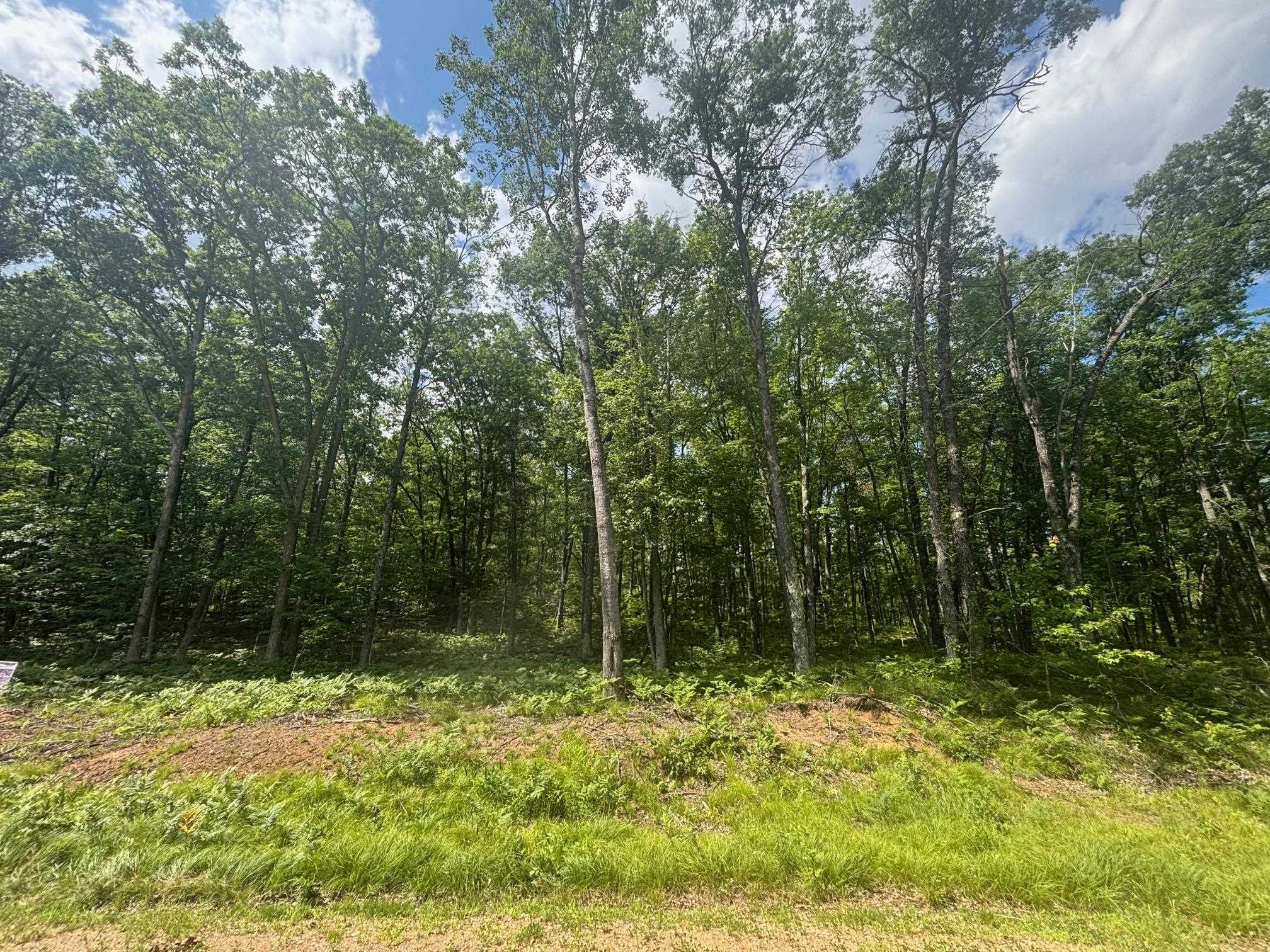 Swan Bay Road, Unit 6 Amberg, WI 54102 - Photo 2 of 20