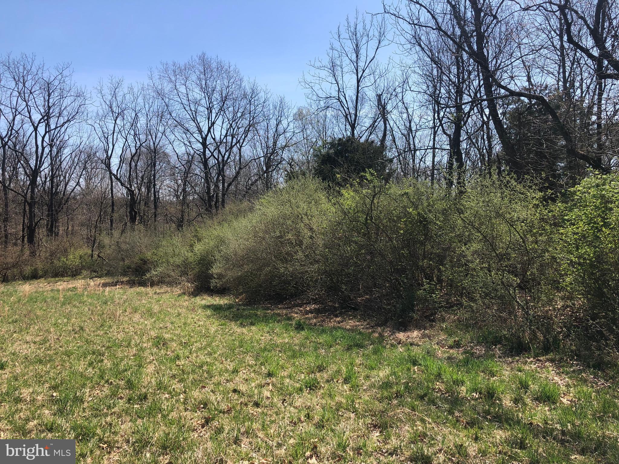 0 Levengood Road Boyertown, PA 19512 - Photo 8 of 24 View from neighbors field edge