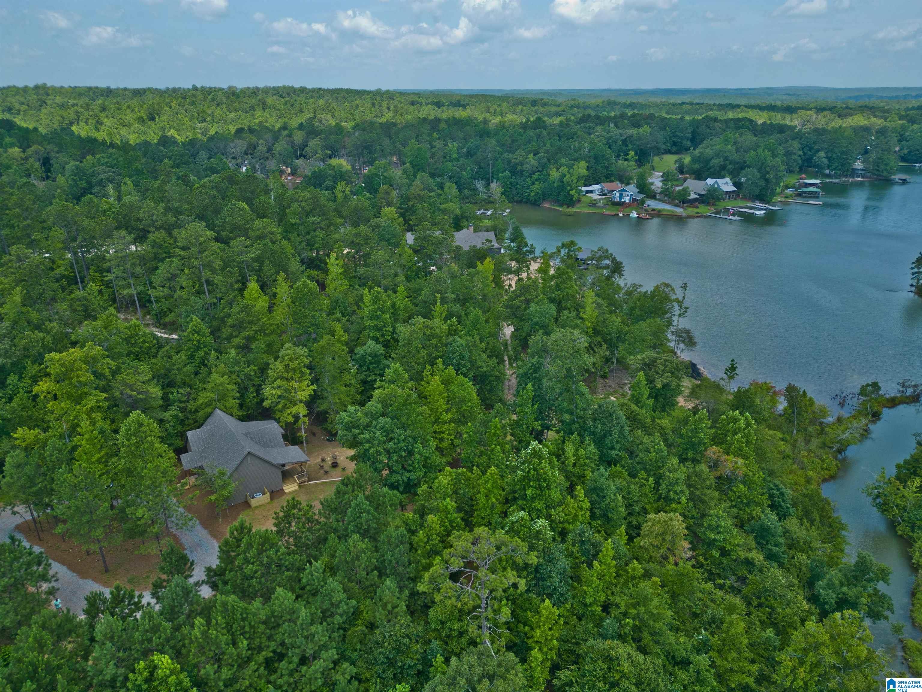 126 Wilson Cross Road Eclectic, AL 36024 - Photo 56 of 64