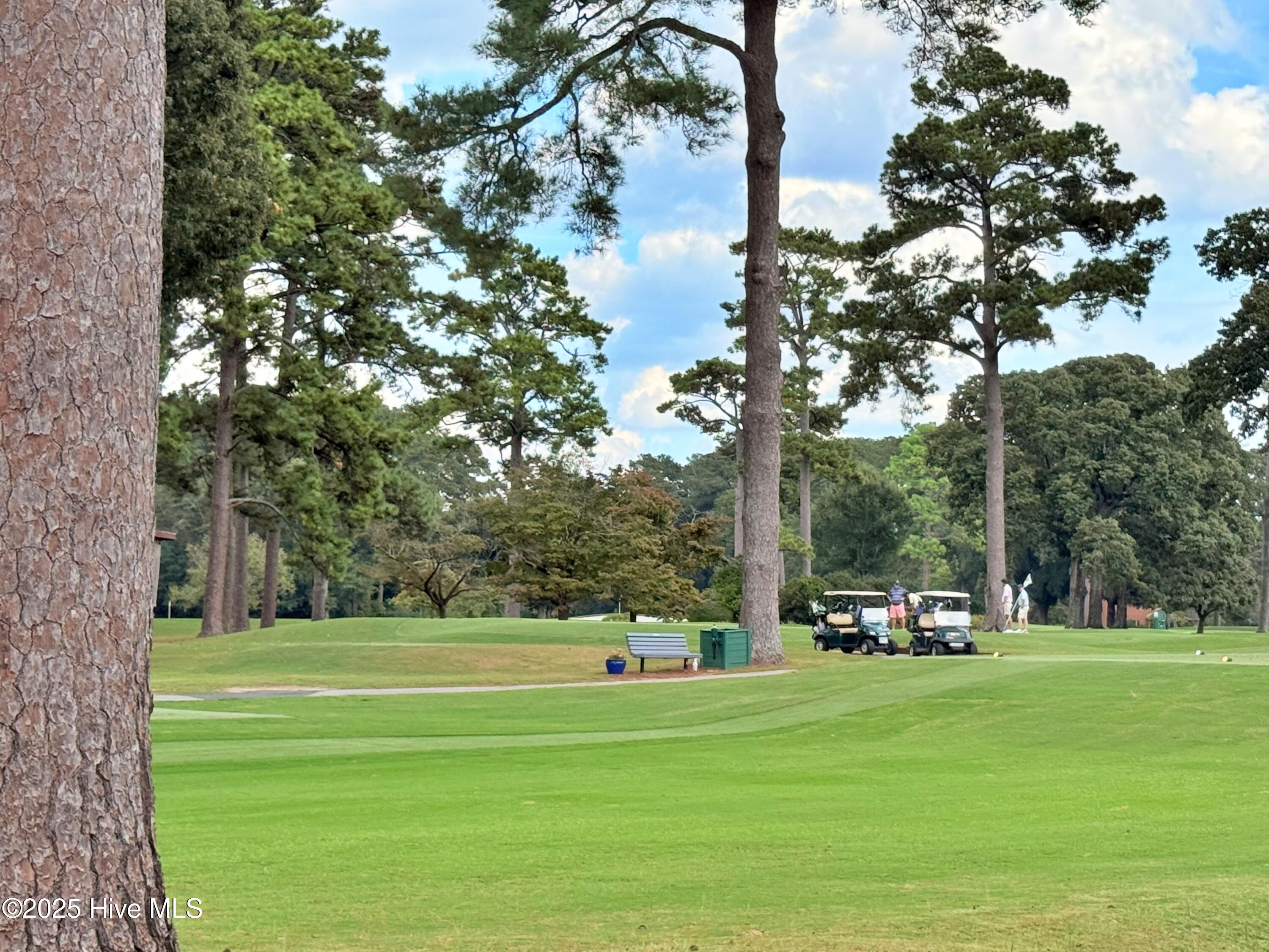 4503 Greenview Road Trent Woods, NC 28562 - Photo 22 of 39 NBGCC Golfcourse
