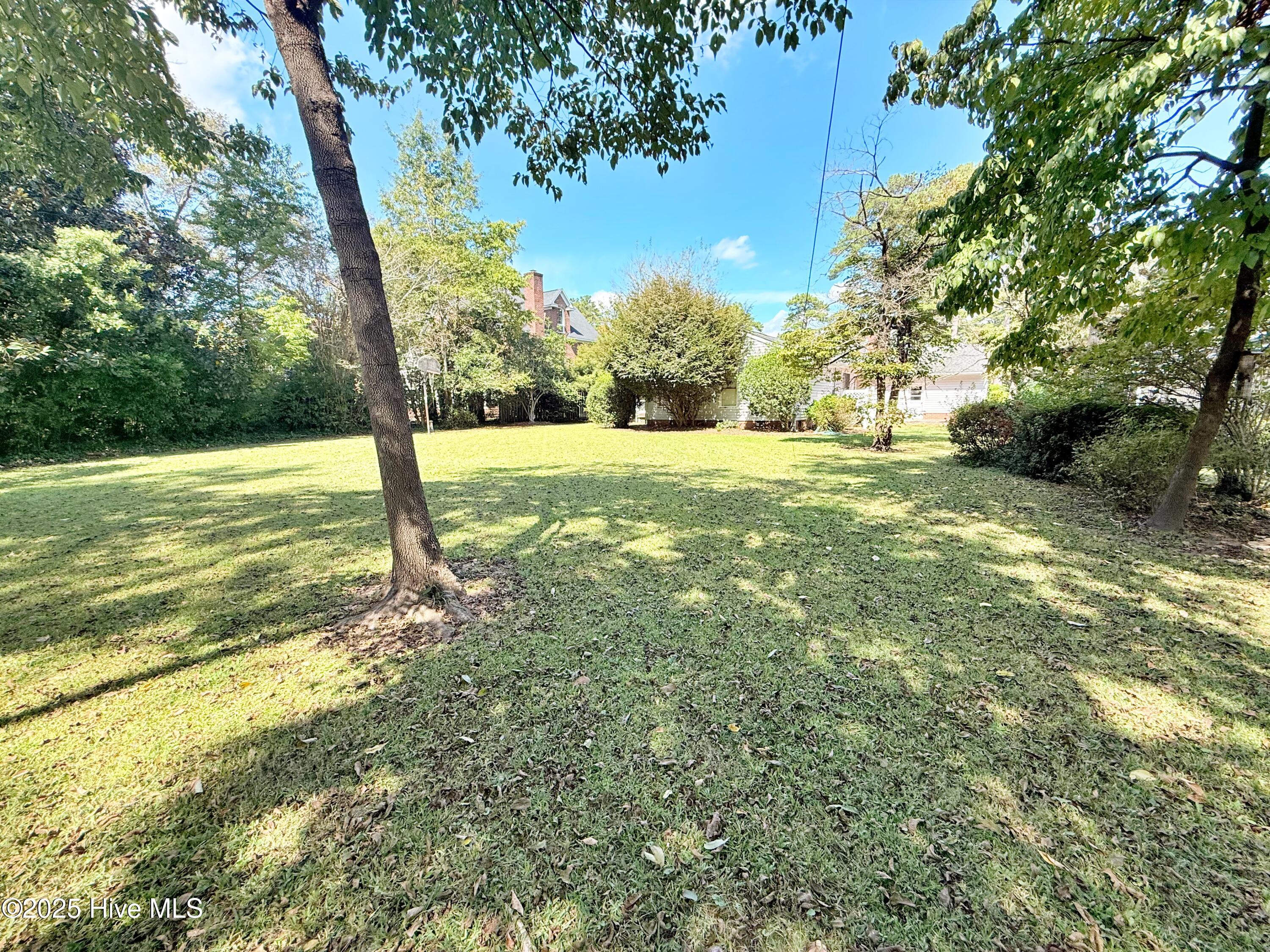 4503 Greenview Road Trent Woods, NC 28562 - Photo 26 of 39 Yard