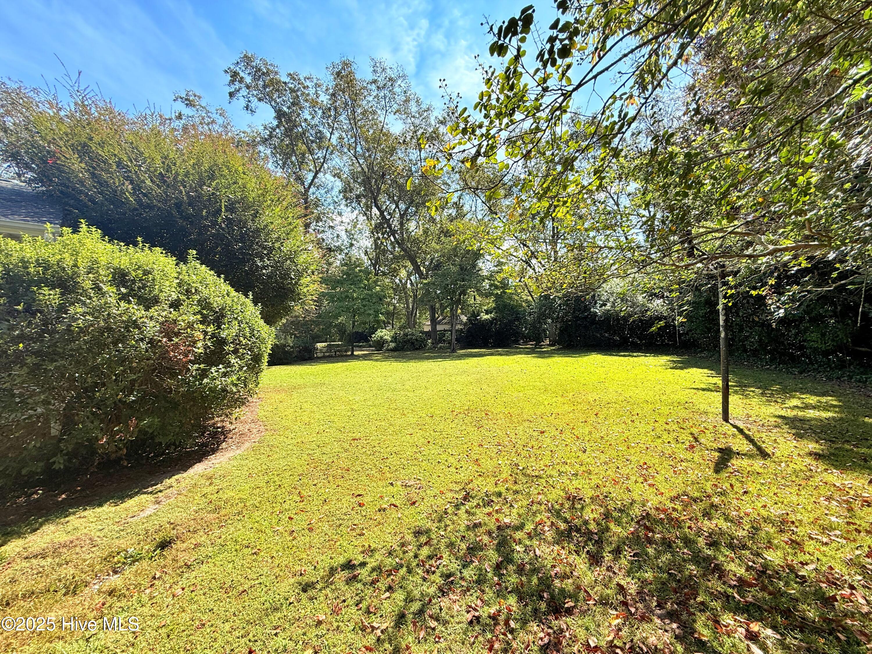 4503 Greenview Road Trent Woods, NC 28562 - Photo 27 of 39 Lush Yard