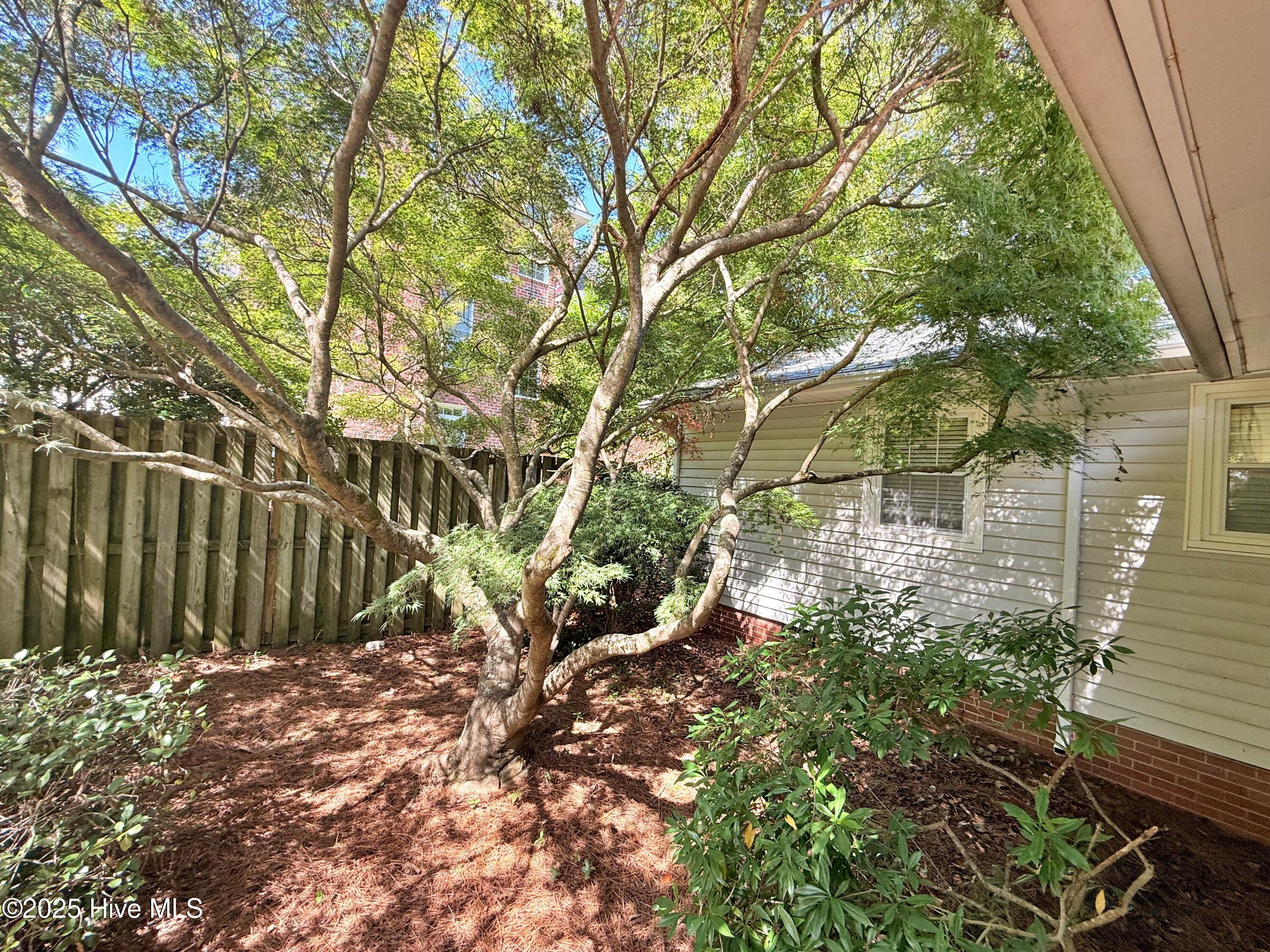 4503 Greenview Road Trent Woods, NC 28562 - Photo 28 of 39 Zen Garden