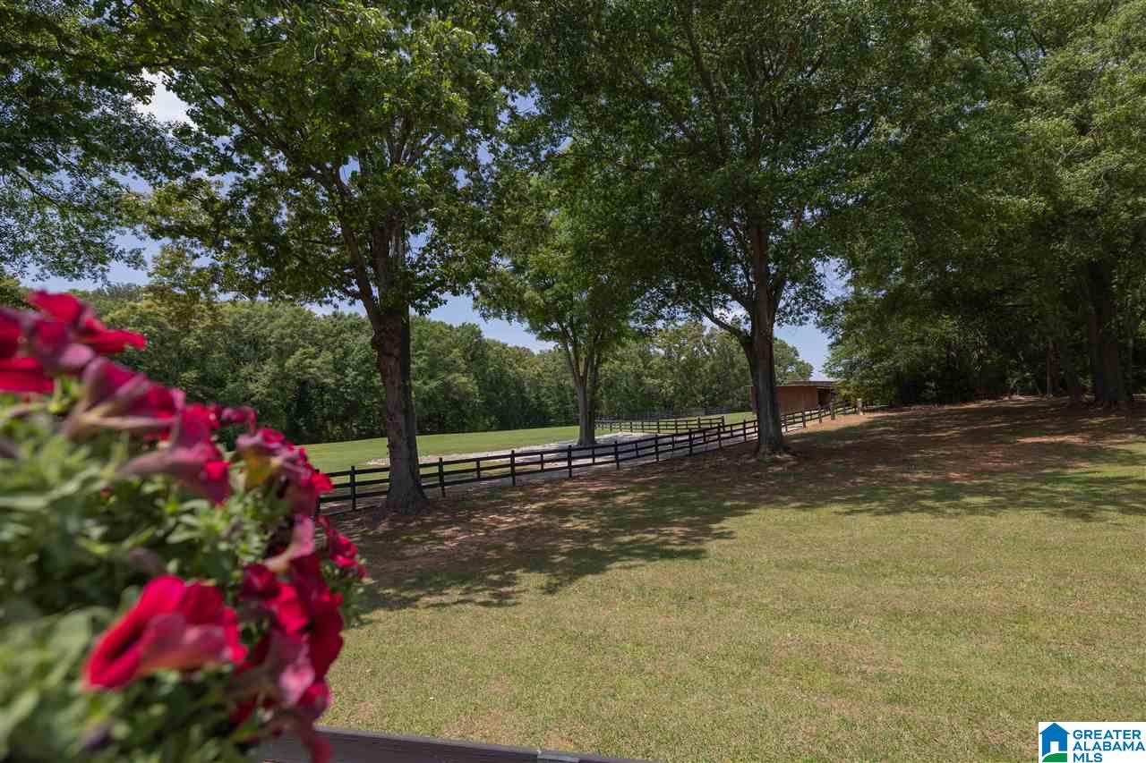5360 McElderry Road North Munford, AL 36268 - Photo 31 of 45