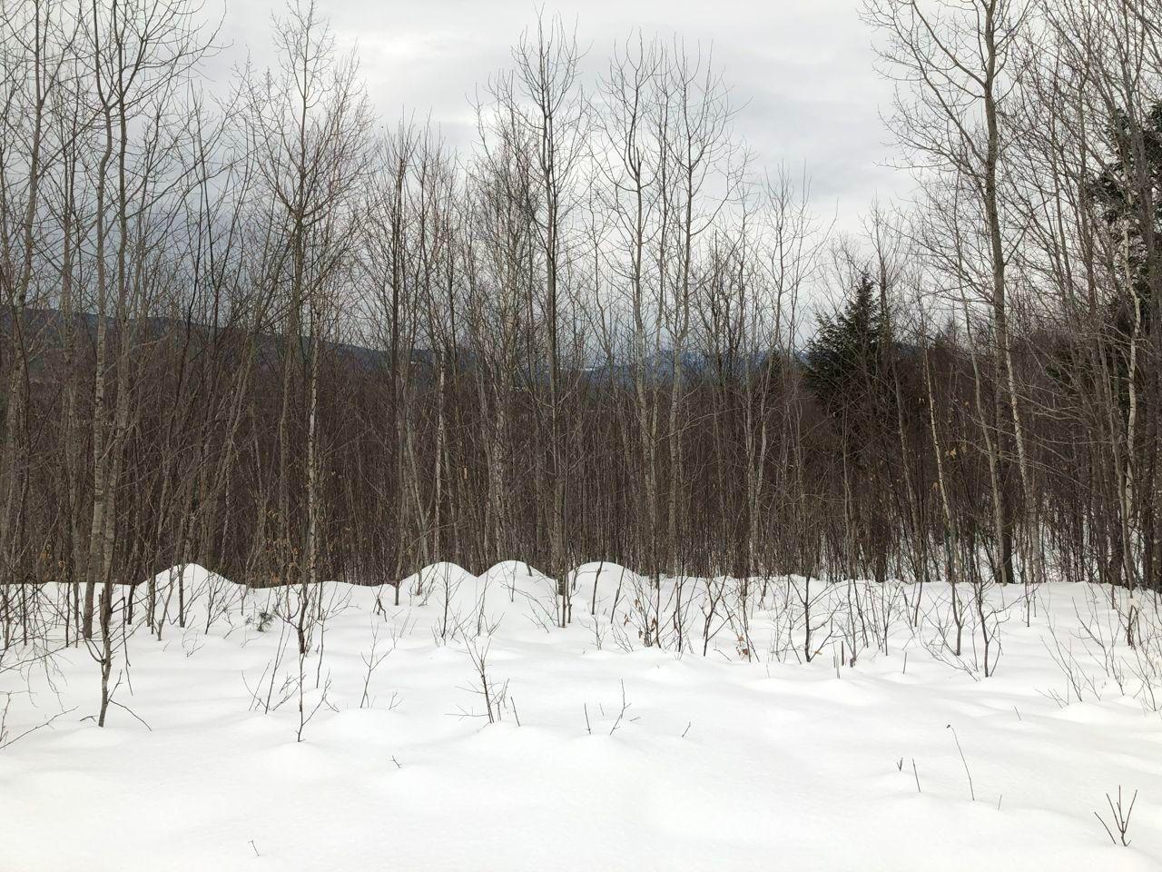 9 Green Hill Road Dixfield, ME 04224 - Photo 10 of 34 lot 9