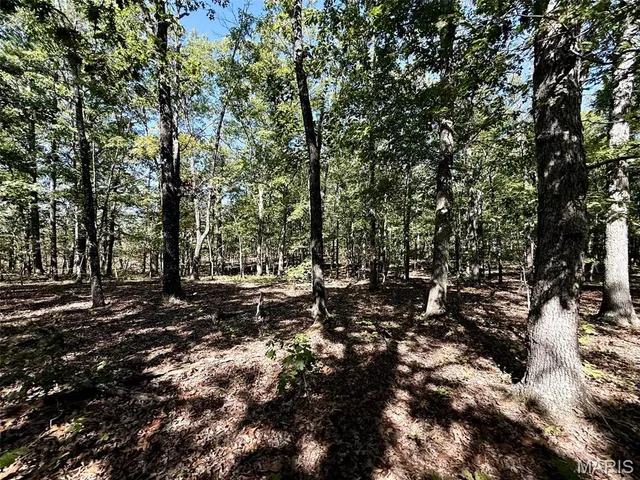 $703,500 | 9641 Crane Drive, Bucyrus, MO 65444