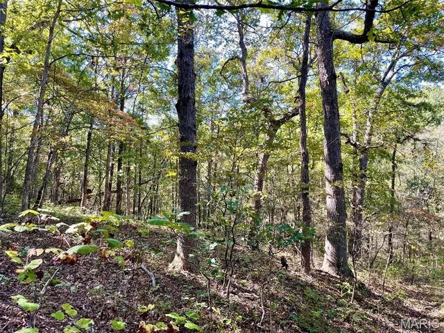 $703,500 | 9641 Crane Drive, Bucyrus, MO 65444