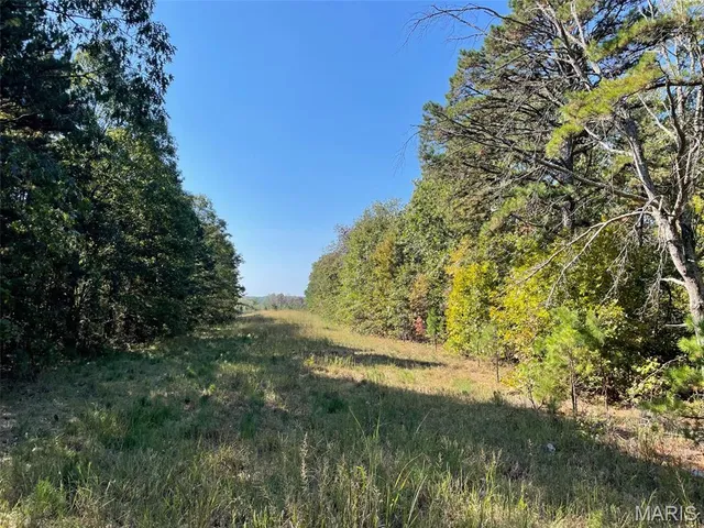 $703,500 | 9641 Crane Drive, Bucyrus, MO 65444