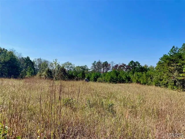 $703,500 | 9641 Crane Drive, Bucyrus, MO 65444