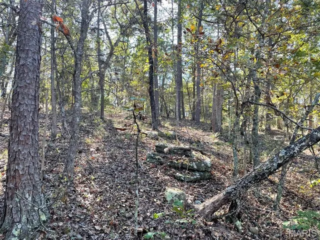 $703,500 | 9641 Crane Drive, Bucyrus, MO 65444